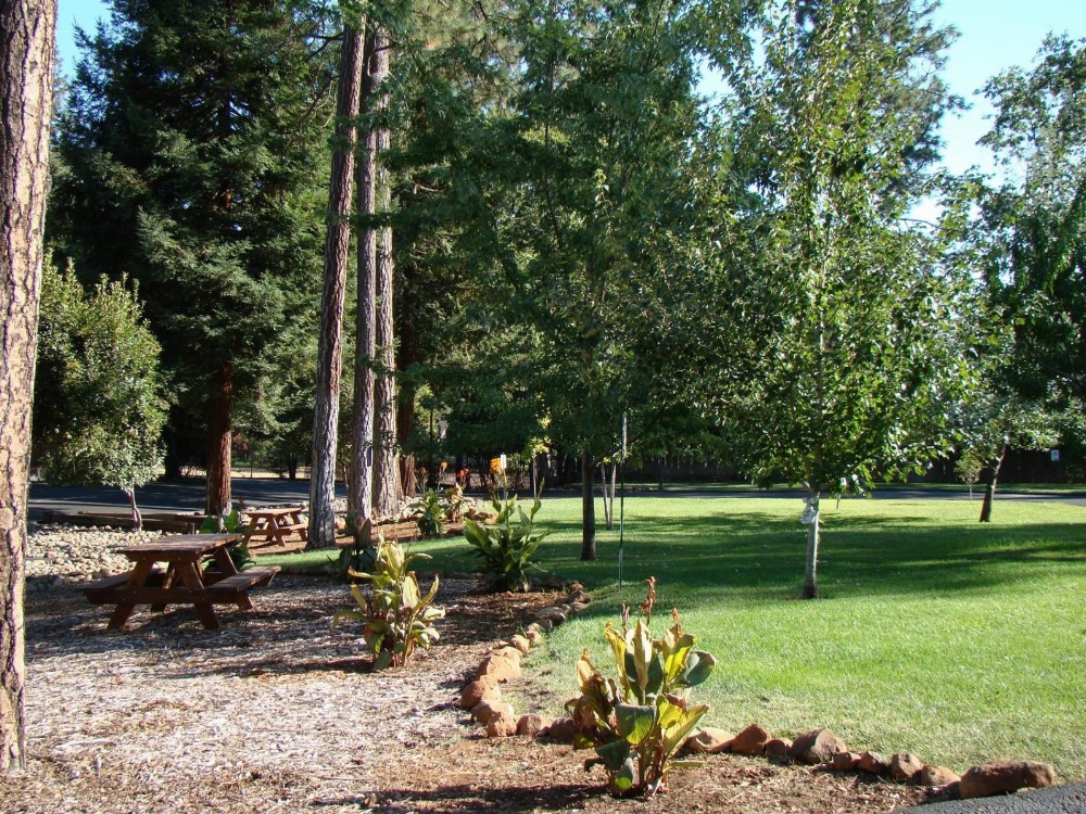 Ponderosa Gardens Motel